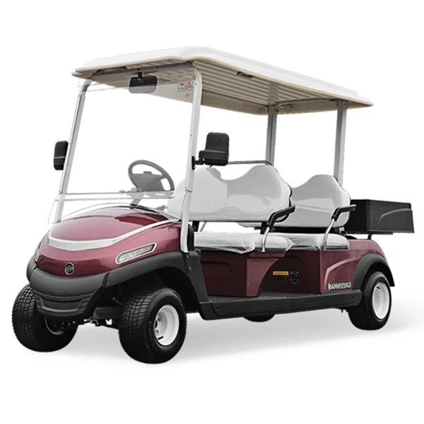 Electric Off-road golf car Customized